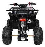 Pojazd Quad Spalinowy WILDPEAK 110cc Czarny