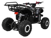Pojazd Quad Spalinowy WILDPEAK 110cc Czarny