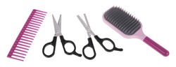 Zestaw Fryzjerski + Akcesoria