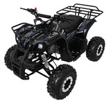 Pojazd Quad Spalinowy WILDPEAK 110cc Czarny