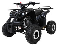 Pojazd Quad Spalinowy WILDPEAK 110cc Czarny