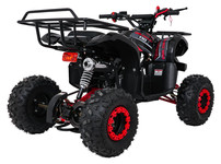 Pojazd Quad Spalinowy WILDPEAK 110cc Czerwony