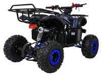 Pojazd Quad Spalinowy WILDPEAK 110cc Niebieski